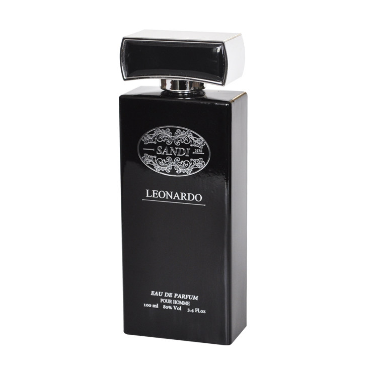 ادو پرفیوم مردانه سندی مدل Leonardo حجم 100 میل Sandi Eau De Parfum Leonardo For Men 100ml